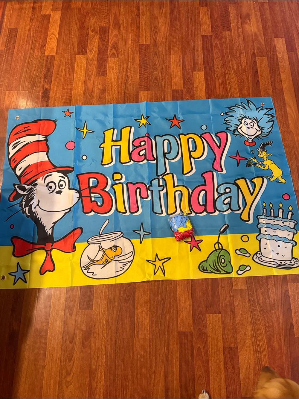 New Dr. Seuss Happy Birthday Banner & Balloons